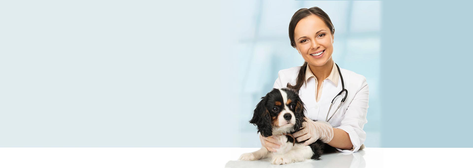 Produtos Veterinários Matsuri Hospitalar